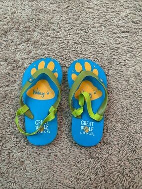 Kids' Blue and Green Flip Flops - Wiley Paw Print great wolf lodge